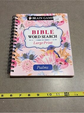 Brain Games Bible Word Search : Large Print. Psalms and Prayer Puzzles by Pil